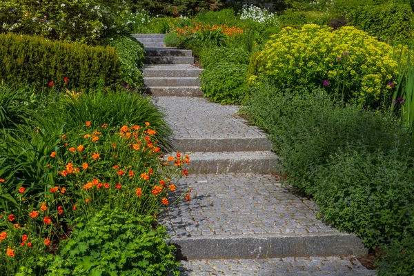 Flower bed top view in different colours — Stock Photo, Image