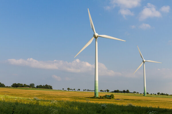 2 Wind engines with wild meadow and wheat field