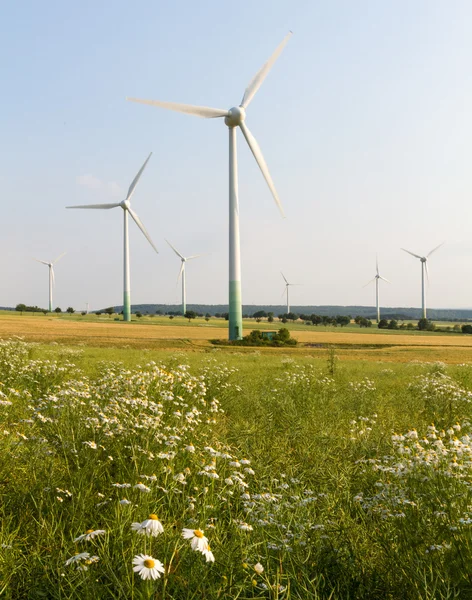 Wind engines with wild meadow and wheat field — Stock Photo, Image