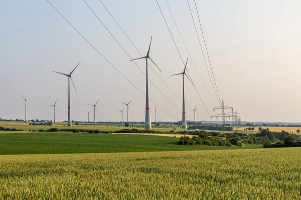 Wind engines between corn field and wood and power lines — Stock Photo, Image