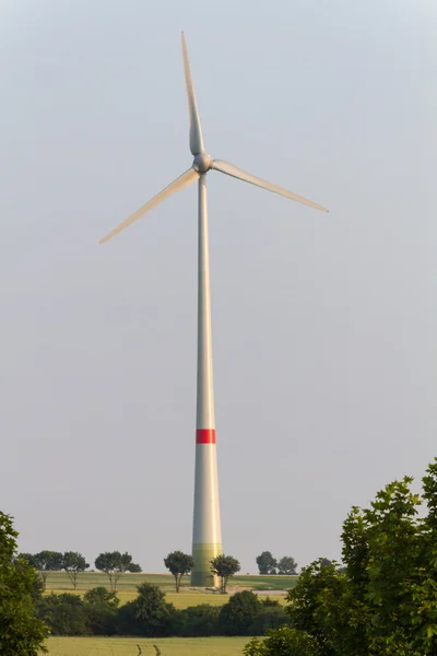 Wind engines between corn field and wood — Stock Photo, Image