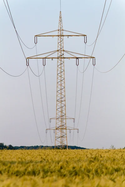 Torre eléctrica con línea de alimentación y campo de cebada —  Fotos de Stock