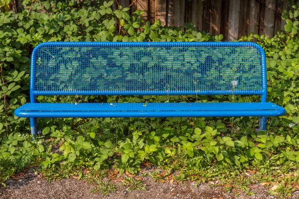 Metal bench in blue with leaves and wooden fence — Stock Photo, Image