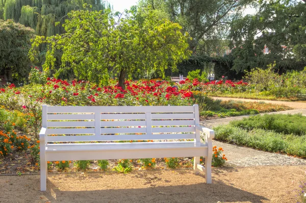 White wooden bench in a flowered colourful park — Stock Photo, Image