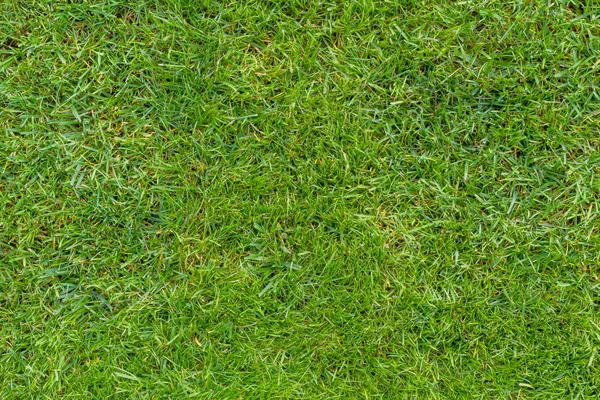 Green lawn isolated in plan view — Stock Photo, Image