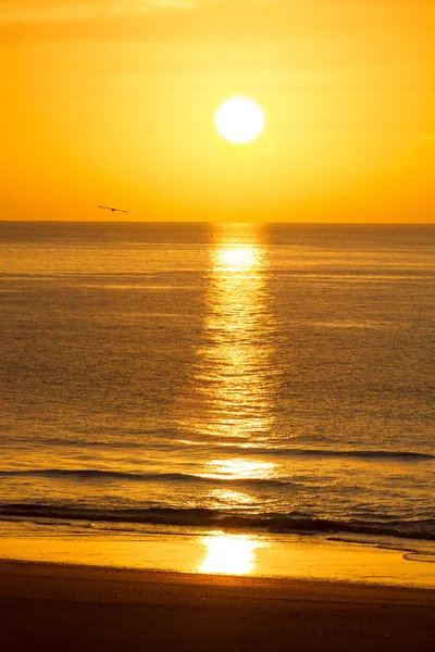 Ambiente matutino en la playa — Foto de Stock