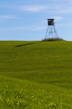 bir çayır üzerinde yüksek koltuk