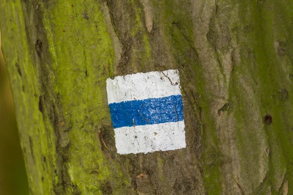 Trekking segno su un albero — Foto Stock