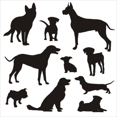 Köpekler silhouettes
