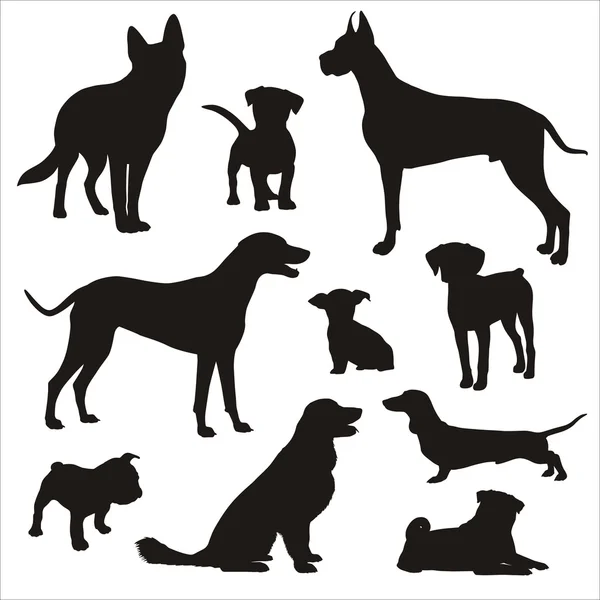 Köpekler silhouettes