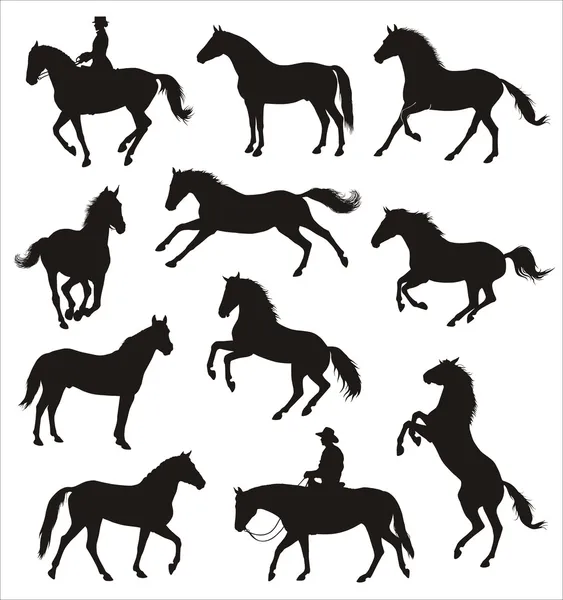 Silhouetten van paarden — Stockvector