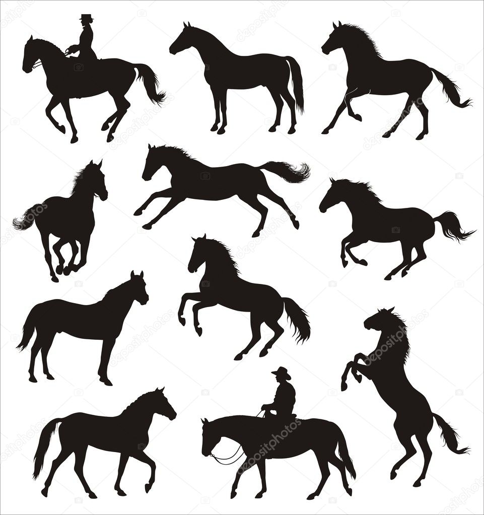 silhouettes of horses