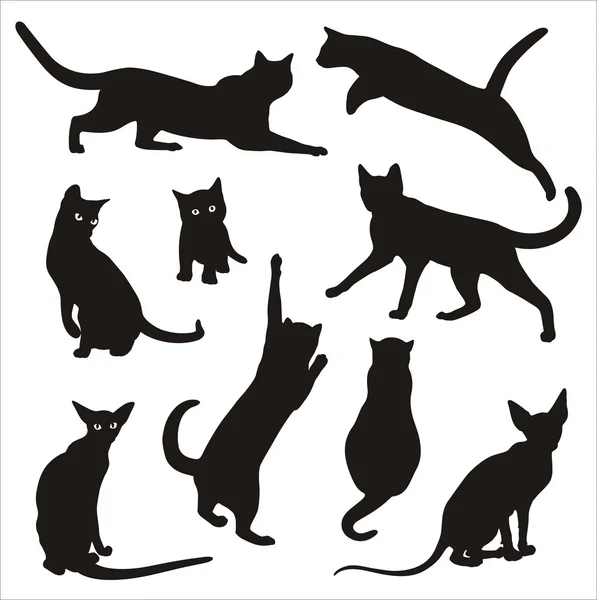 猫のシルエット — ストックベクタ