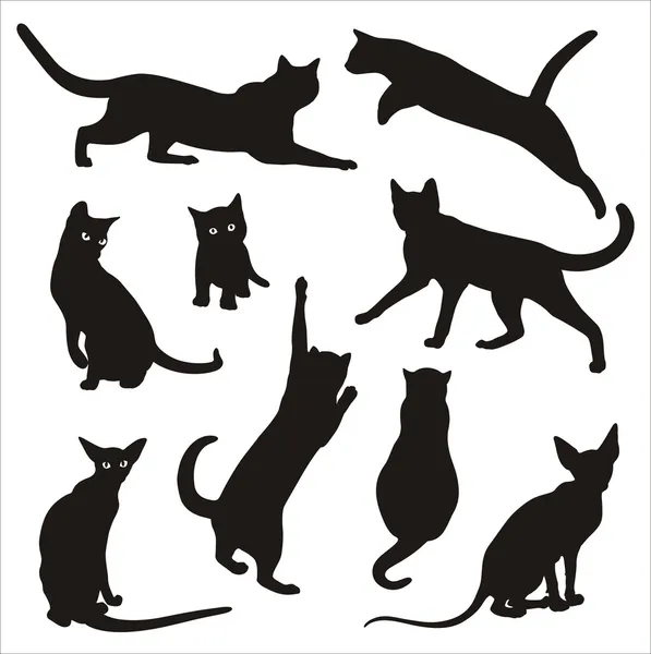 Silueta de gato — Vector de stock