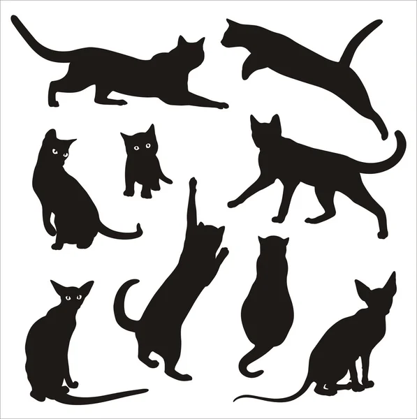 Silhouet van kat — Stockvector