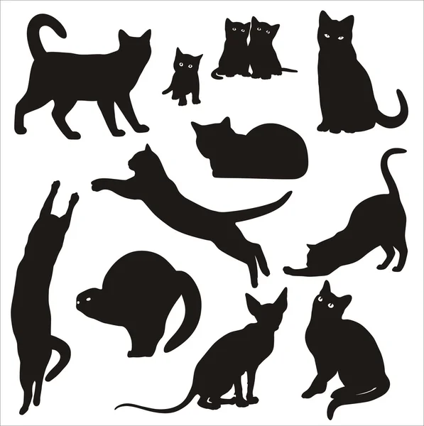 Silhouet van kat — Stockvector