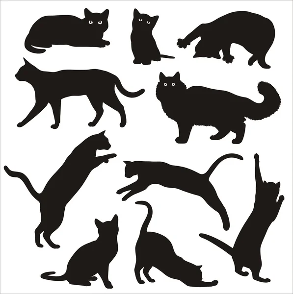 Silhouet van kat — Stockvector