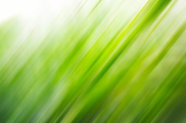 ışık yeşil-beyaz arka plan