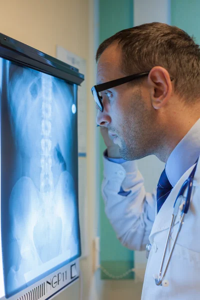 Doctor looking at x-ray picture — Stock Photo, Image