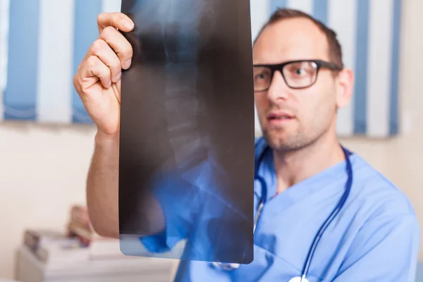 Doctor looking at x-ray picture — Stock Photo, Image