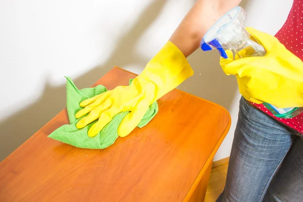 Female household — Stock Photo, Image