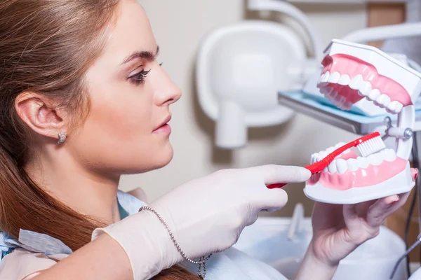 Dentist showing how to brush teeth — Stock Photo, Image