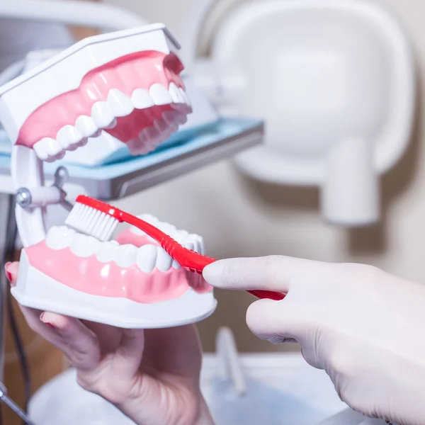 Dentist showing how to brush teeth — Stock Photo, Image