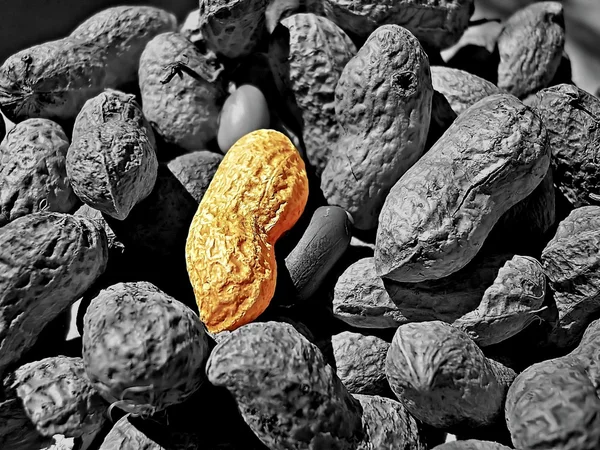 Molte arachidi — Foto Stock