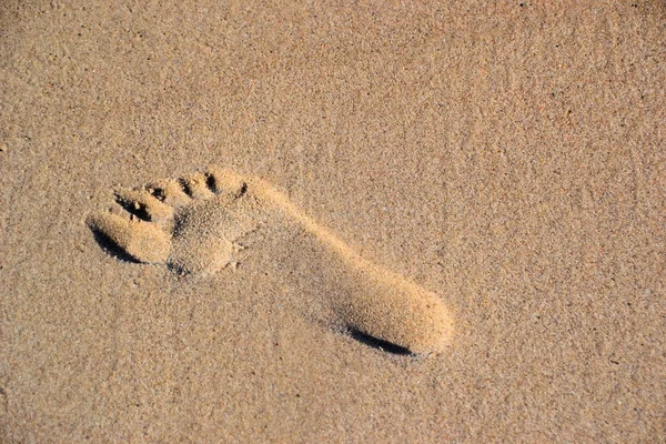 Baltık Denizi sahilinde bir ayak izi — Stok fotoğraf