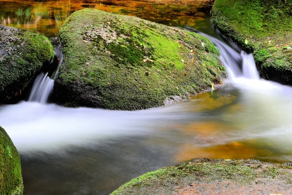 Un ruisseau de montagne au pied du Brocken — Photo