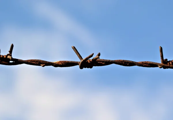 A fence of barbed wire — Stock Photo, Image