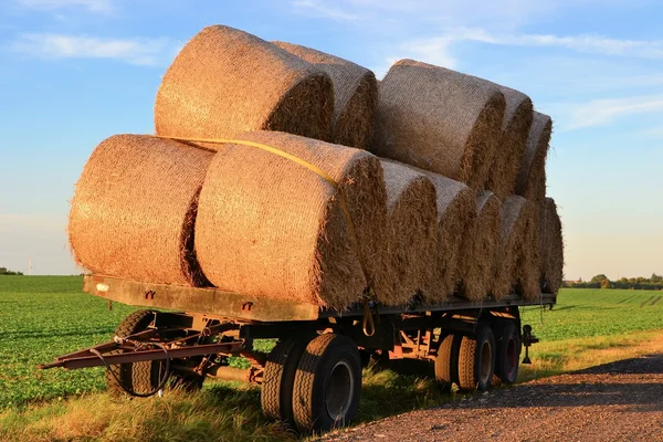 Stro rollen op een aanhangwagen — Stockfoto