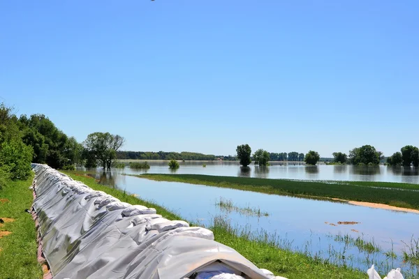 Sandbags to prevent flooding on the Elbe near Magdeburg — Stock Photo, Image