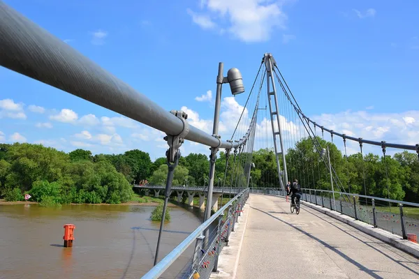 Elbe Nehri magdeburg adlı üzerinden köprü — Stok fotoğraf