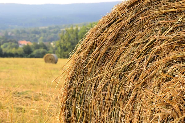 Rollen van stro op een veld — Stockfoto