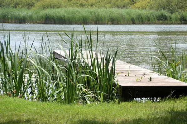 Posizione idilliaca vicino a un lago nel Brandeburgo — Foto Stock