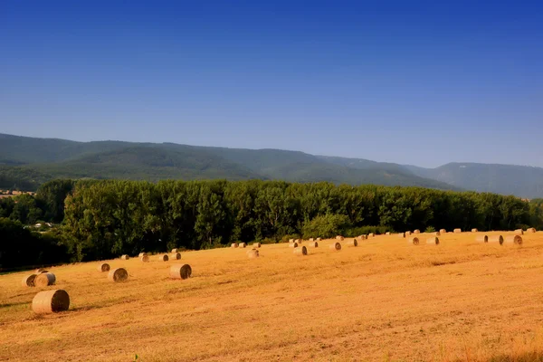 Paisaje en el Harz — Foto de Stock