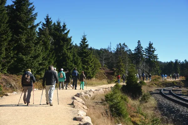 Trail naar de top van de brocken — Stockfoto