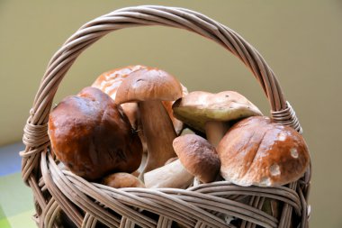 Porcini mantar bir sepet içinde