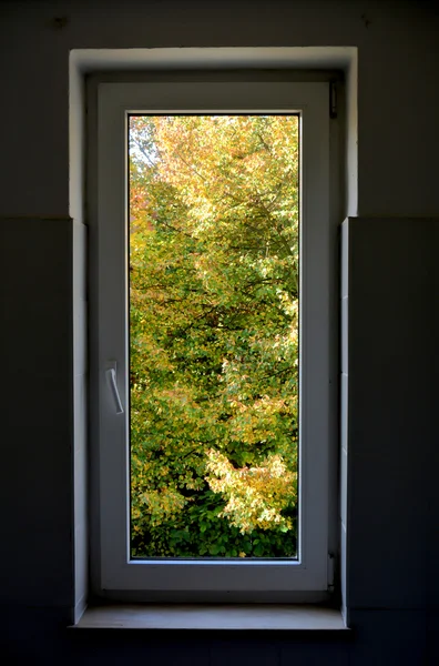 Vista a través de una ventana a la naturaleza — Foto de Stock