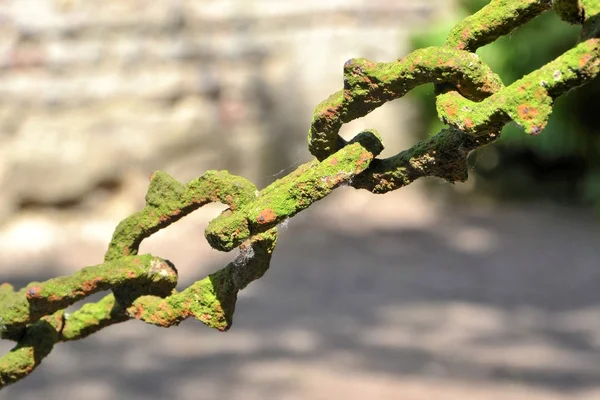 Mezarlıkta bir çit zincir