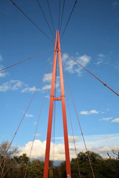 Detalle de un puente colgante en Magdeburgo — Foto de Stock