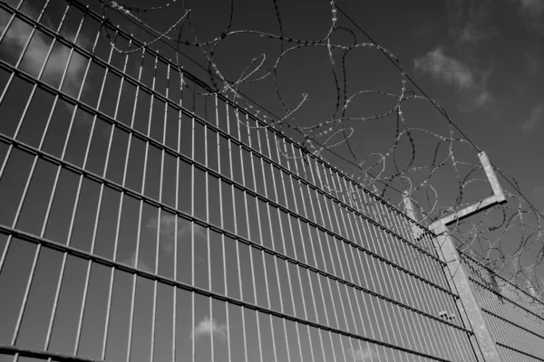 Arame farpado em uma cerca — Fotografia de Stock