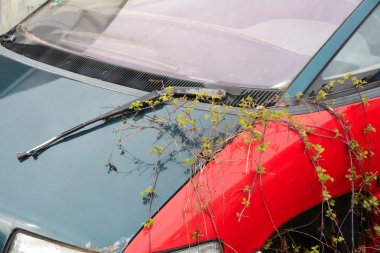 Old car in a scrap yard clipart