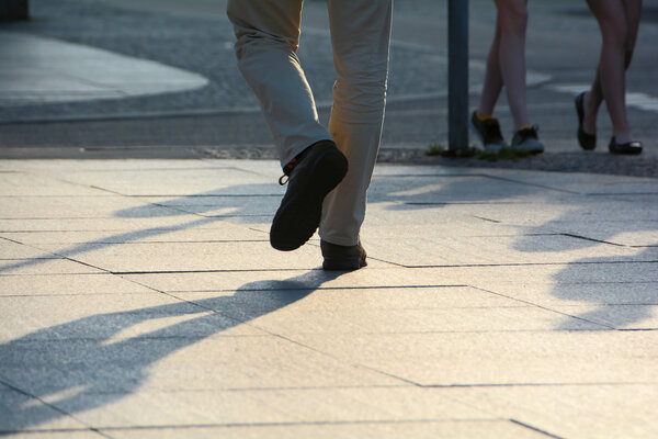 Flowering plants in flower boxes