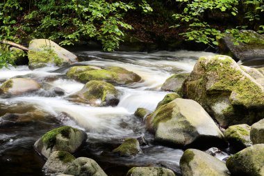 vahşi bir nehir işaret