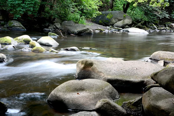 Il romantico torrente di montagna Bode — Foto Stock