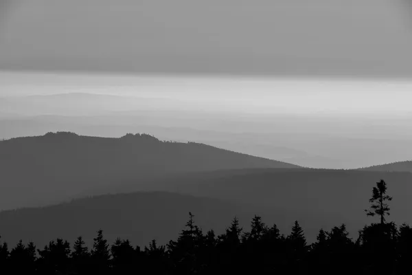 O Parque Nacional Harz — Fotografia de Stock