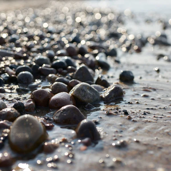 Steine Strand Der Polnischen Ostseeküste Bei Kolobrzeg Bei Sonnenuntergang Gegenlicht — Stockfoto