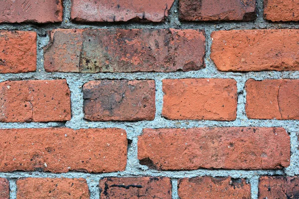 Bricks on a W all — Stock Photo, Image